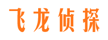 二七飞龙私家侦探公司